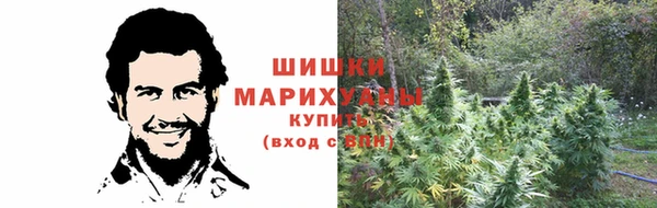 индика Володарск