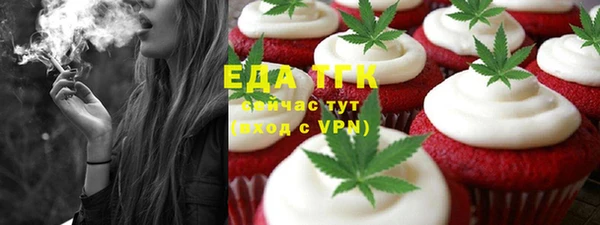 индика Володарск