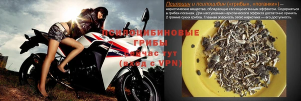 стаф Верхний Тагил