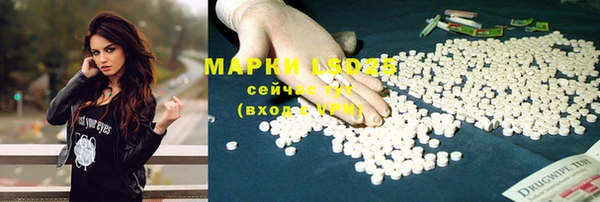 стаф Верхний Тагил