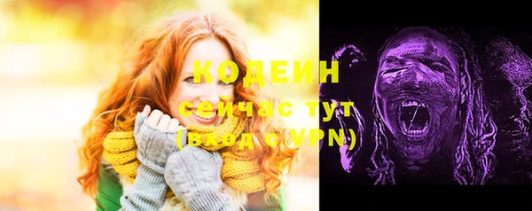 стаф Верхний Тагил