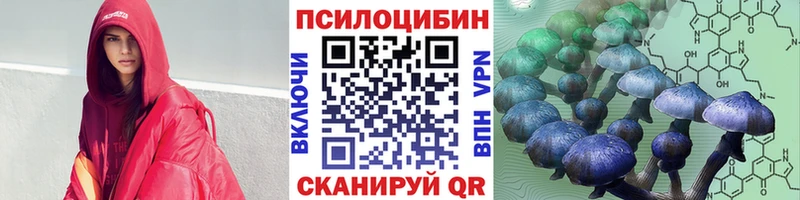 Псилоцибиновые грибы Psilocybine cubensis  Дальнереченск 